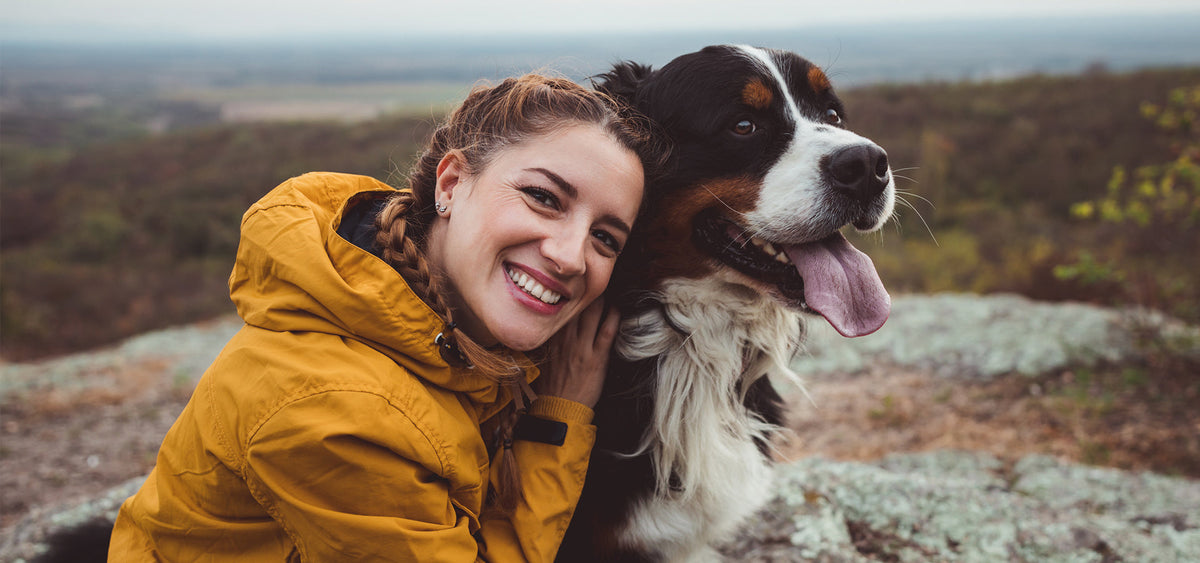 The Health Benefits of Raw Feeding for Dogs: From Coat to Teeth