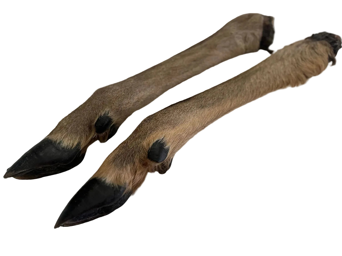 2 XL Venison Deer Legs