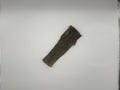 Fish Skin Flattie