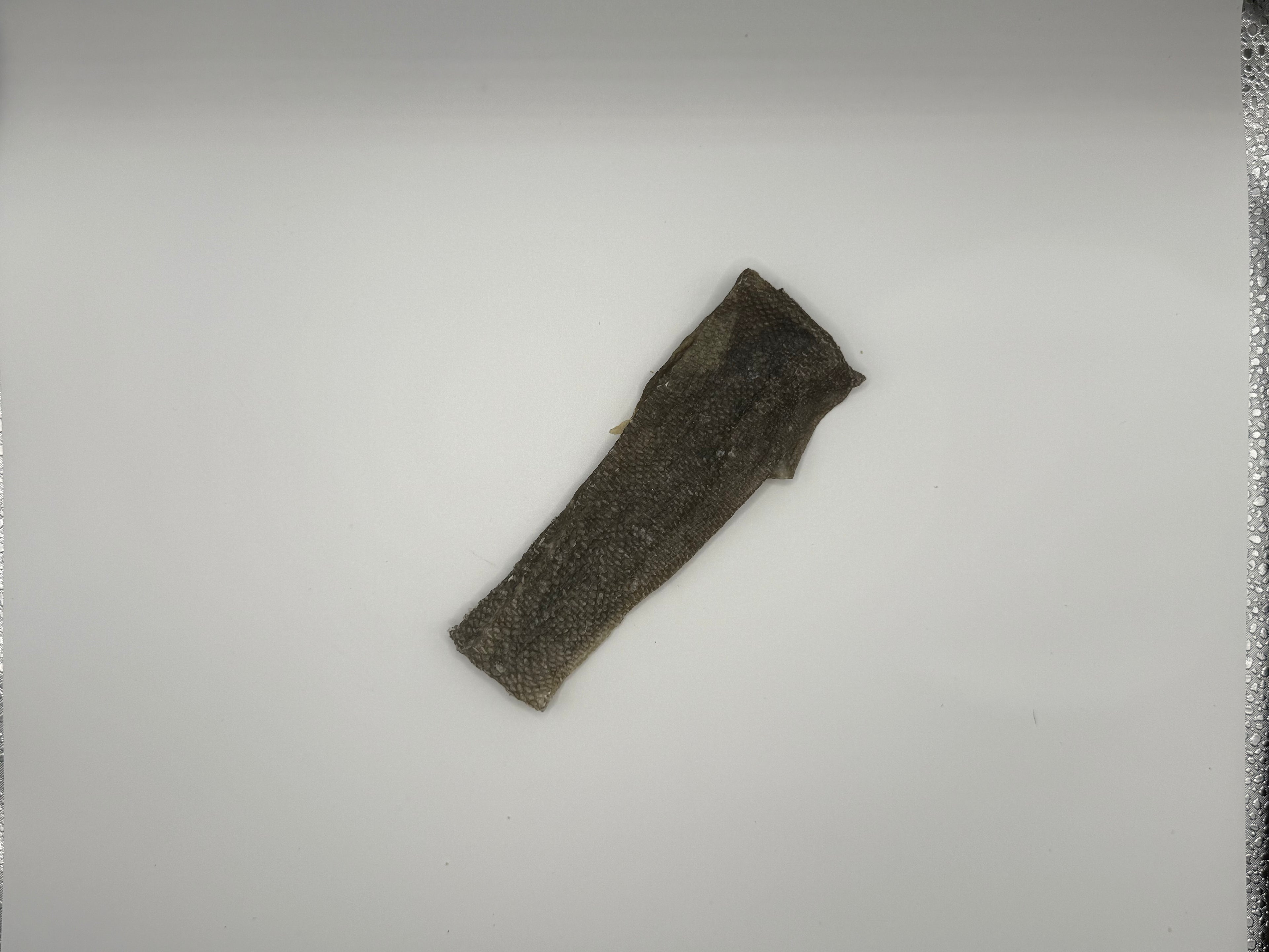 Fish Skin Flattie